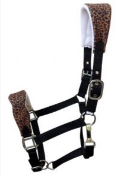 Licol | Poilu Léopard