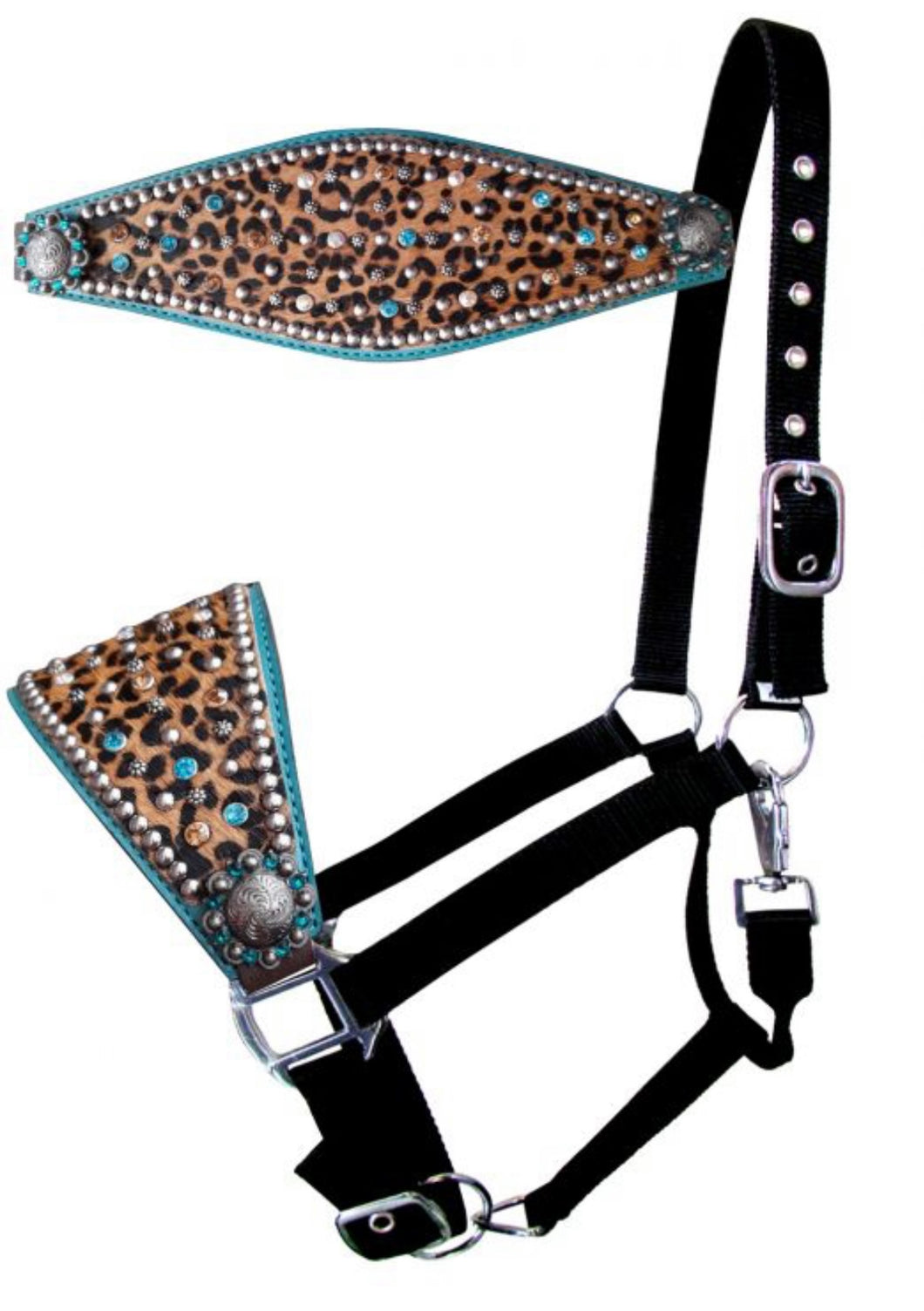 Licol | Noseband Léopard Turquoise