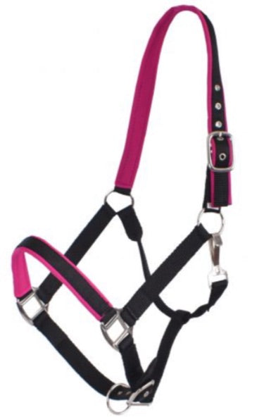 Halter | Pink Neoprene