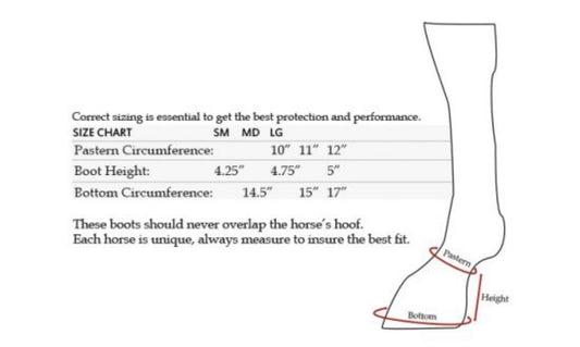 Cloches | Elite Equine