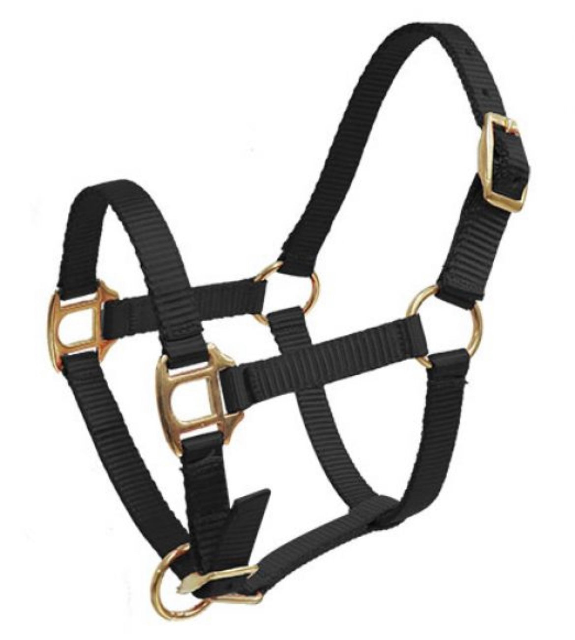 Licol Mini/Foal | Noir