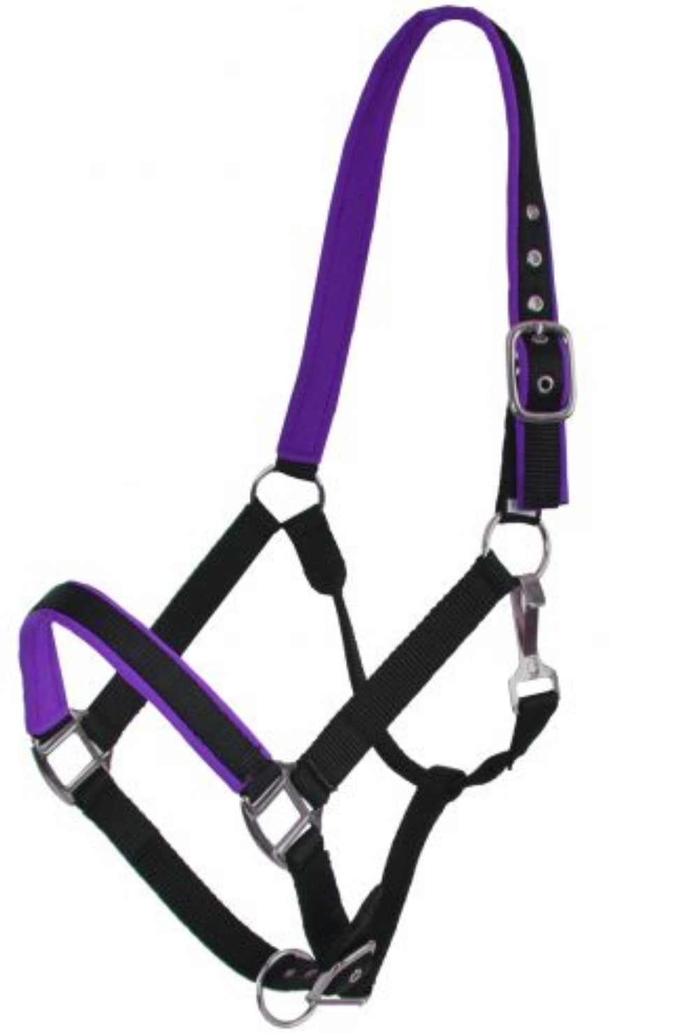 Halter | Purple Neoprene