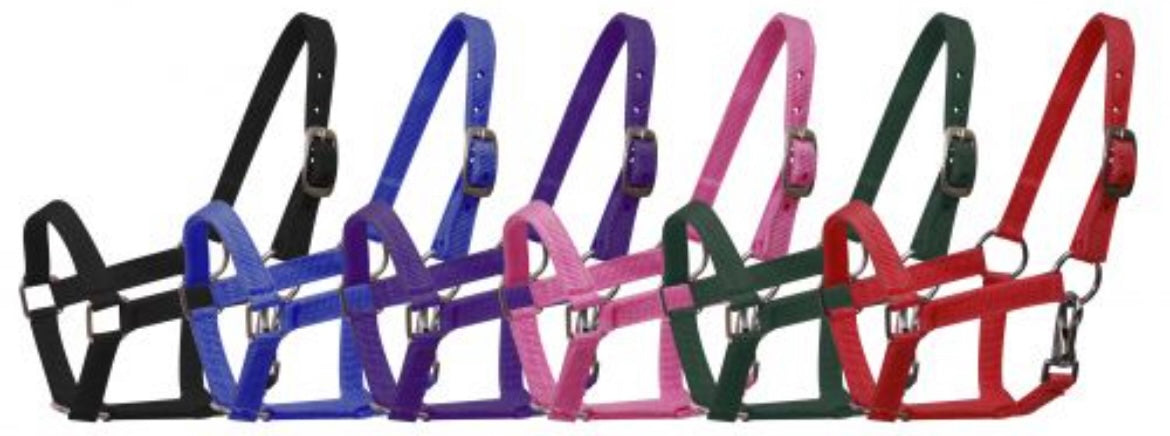 Halter | Mini/Foal
